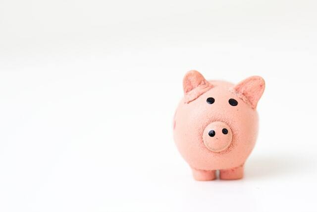 piggy bank for earning money with job certification