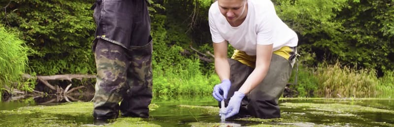 environmental scientist collecting sample from swamp